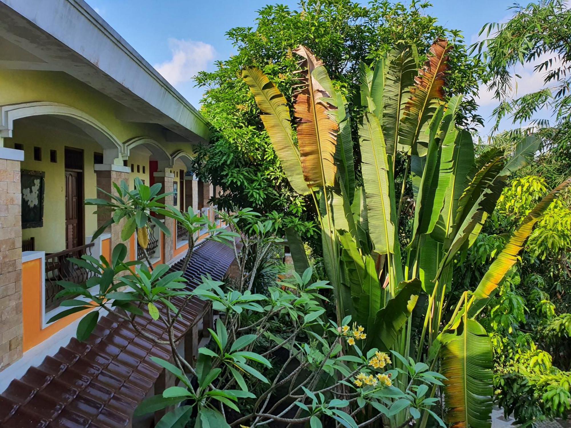 Villa Alicia Maguwo Экстерьер фото